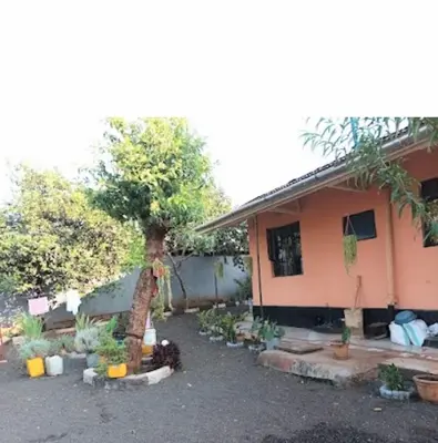 a house with a lot of plants in front of it at Bibi Cosy Cottage in Moshi