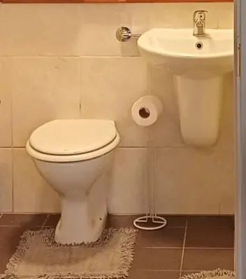 a bathroom with a toilet and a sink at Bibi Cosy Cottage in Moshi