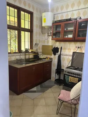 a kitchen with a sink and a stove at Cozy and stylish apartment in Arusha Town in Arusha