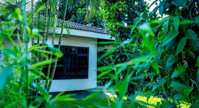 a small house with a window in the trees at AG Comfort Safari Homes in Arusha