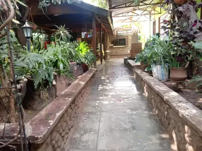 a courtyard of a house with potted plants at New Siesta Inn in Nkunjila