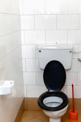 a bathroom with a toilet with a black seat at Sisama Lodge in Msaranga
