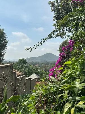 a garden with purple flowers and a mountain in the background at Meru Nest Arusha Bed & Breakfast in Arusha