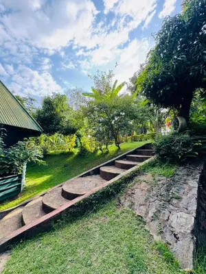 a group of steps in a park with trees at Oldadai Falls Retreat in Arusha