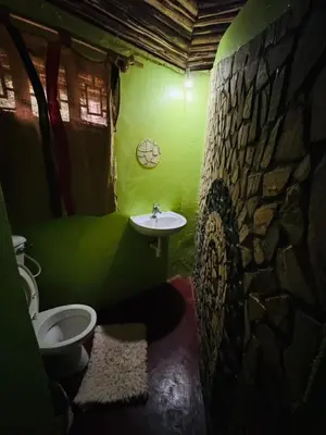 a green bathroom with a toilet and a sink at Oldadai Falls Retreat in Arusha