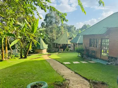 a view of the yard of a house at Oldadai Falls Retreat in Arusha