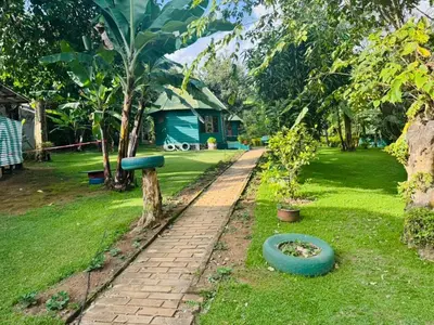 a garden with a brick path and a tree and a house at Oldadai Falls Retreat in Arusha