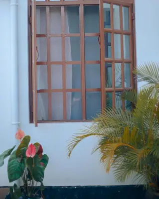a window on a white building with a plant at Arusha Oasis Executive Residence in Arusha