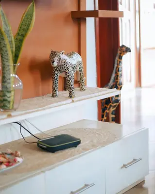 a shelf with a figurine of a giraffe on it at Arusha Oasis Executive Residence in Arusha