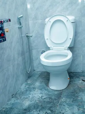 a bathroom with a toilet and a shower at Serene Vacay Lodge Soweto in Moshi