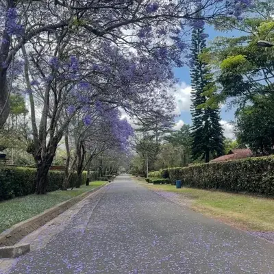 Arusha Njiro B&B