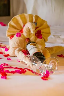a stuffed bear sitting next to a bottle of wine at Njiapanda Tented Lodge & Safari in Karatu