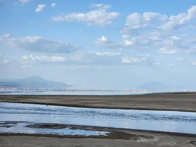 a beach with a body of water and a bridge at Lengai Maasai homestay in Mtowabaga