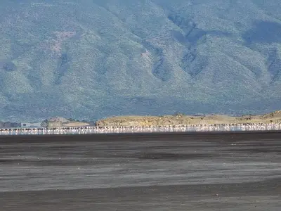 a group of people standing on a beach with mountains in the background at Lengai Maasai homestay in Mtowabaga