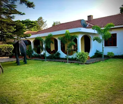 an elephant standing in front of a house at Kibebe ataraxia house in Arusha