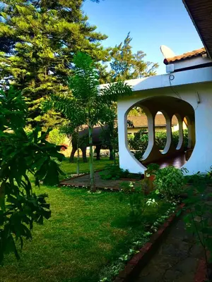 a cow standing in the grass next to a building at Kibebe ataraxia house in Arusha