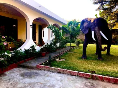an elephant standing in the grass next to a house at Kibebe ataraxia house in Arusha