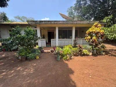a house with a lot of potted plants in front of it at Kwetu Homestay Spacious 4BR Home in Moshi