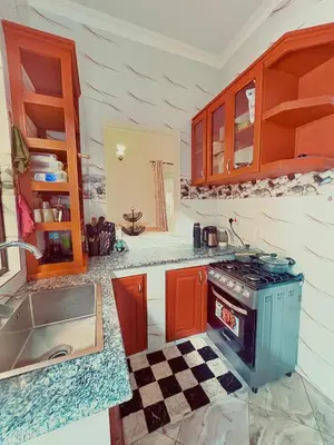 a kitchen with a stove and a sink at Cozy-Homey with solar system -Firepit- Free Parking-Gardenswing in Arusha