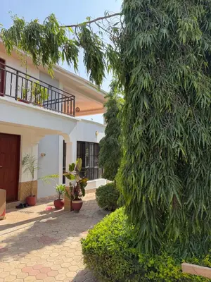 a large tree in front of a building with plants at Royal Safary Appartement in Arusha