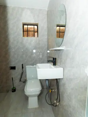 a bathroom with a toilet and a sink and a mirror at Msafiri Haven in Moshi