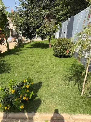 a yard with some yellow flowers and plants at Royal Afrika Safari in Arusha