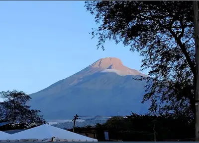 a mountain in the distance with a tree at Greenhome apartment in Poli