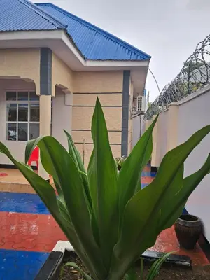 a green plant in front of a house at Kilimanjaro View Retreat in Moshi