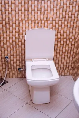 a white toilet in a bathroom with a wall at Panamera Safari Lodge in Boma la Ngombe