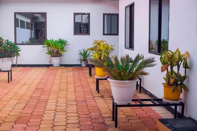 a group of potted plants sitting in a courtyard at Panamera Safari Lodge in Boma la Ngombe