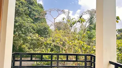 a view from the porch of a house with trees at Two rivers lodge in Arusha