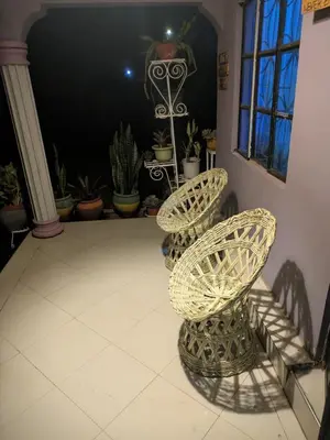 two wicker chairs sitting in a room with plants at masai mama ecohostels in Arusha