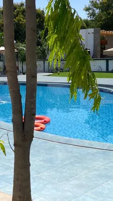 a palm tree next to a swimming pool at Boma masai Garden in Boma la Ngombe
