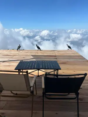 four birds sitting on top of a table and chairs at Shume cliffs in Manga