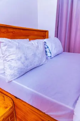 a bed with two pillows on top of it at Kaya homestay in Zame