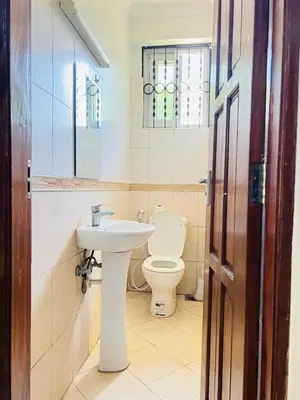a bathroom with a white sink and a toilet at Aviator Safari bnb in Arusha