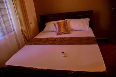 a bed with two pillows on top of it at Antelope homestay in Sanya Chini Station