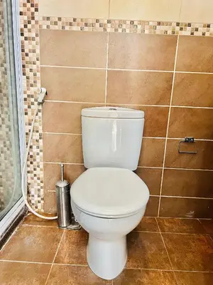 a white toilet in a bathroom with a shower at JJ Comfort Homes in Arusha