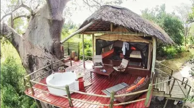 a house with a bath tub on a deck next to a tree at Mbali Mbali Tarangire River Camp in Kwa Kuchinia