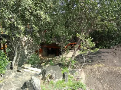 a garden with trees and rocks and a building at Lobo Wildlife Lodge in Serengeti