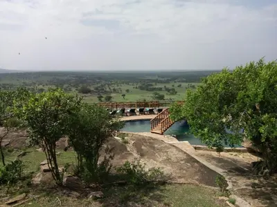 a bridge over a river on a hill with trees at Lobo Wildlife Lodge in Serengeti