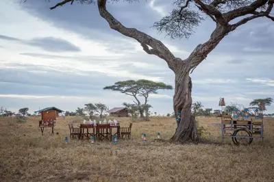 a group of people sitting at a table under a tree at Pumzika Luxury Safari Camp in Banagi