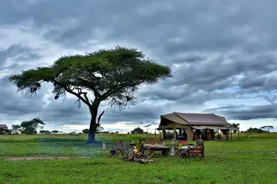 a table and a tree and a tent in a field at Pumzika Luxury Safari Camp in Banagi