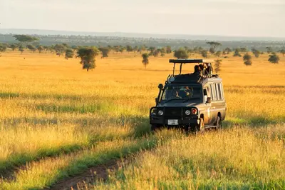 a safari vehicle driving through a field of grass at Pumzika Luxury Safari Camp in Banagi