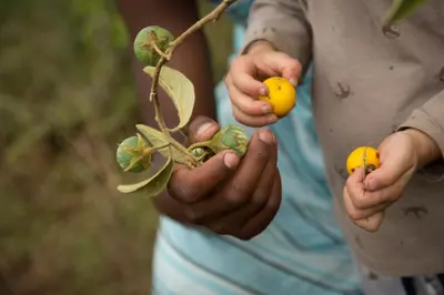 a person holding two fruits in their hands at Pakulala Safari Camp - Ngorongoro in Ngorongoro