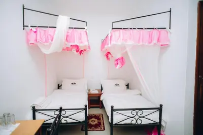 two beds in a room with pink and white curtains at Arusha Giraffe Lodge in Arusha