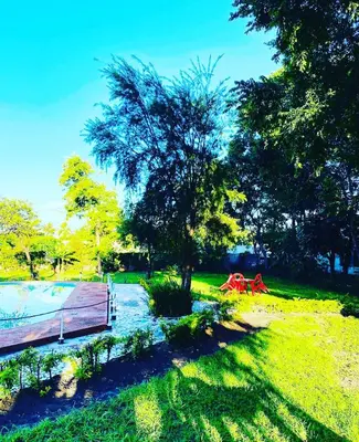 Gallery image of Fig Tree Lodge Camp in Mto wa Mbu