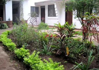 Gallery image of Fig Tree Lodge Camp in Mto wa Mbu