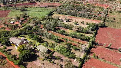 an aerial view of a farm with a house and trees at Tanzanice Farm Lodge in Karatu