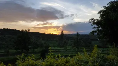 a sunset in a field with trees and grass at Tanzanice Farm Lodge in Karatu